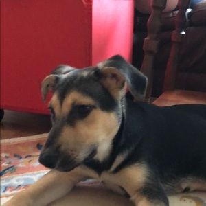 Meet your Posher, Garth